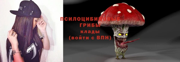 apvp Богородицк