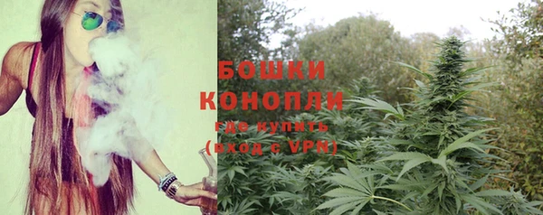 apvp Богородицк