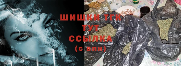apvp Богородицк