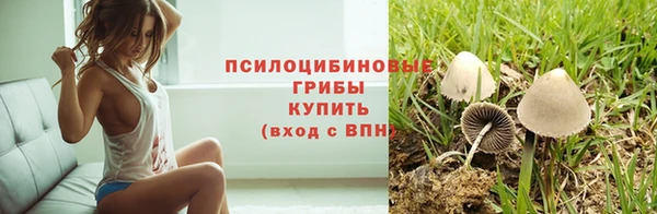 трава Богданович